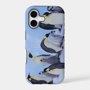 Antarctica, Emporer Penguins