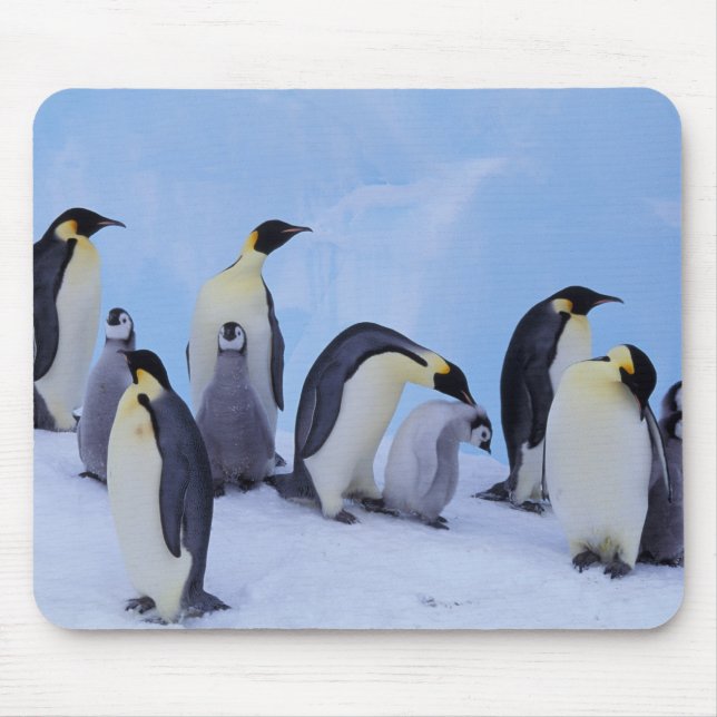 Antarctica, Emporer Penguins Mouse Pad (Front)