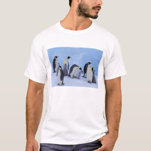 Antarctica, Emporer Penguins T-Shirt