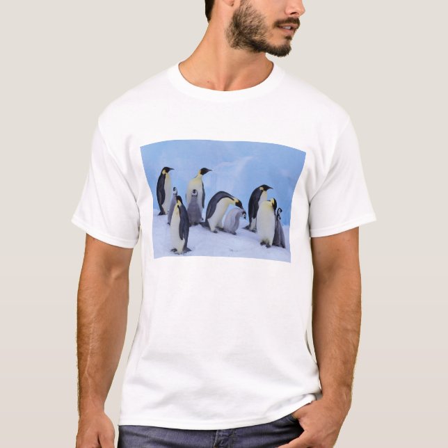 Antarctica, Emporer Penguins T-Shirt (Front)