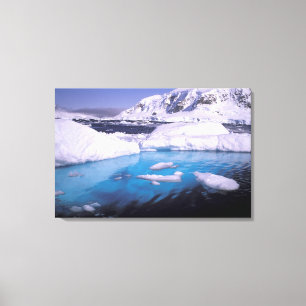Antarctica. Expedition through icescapes 2 Canvas Print
