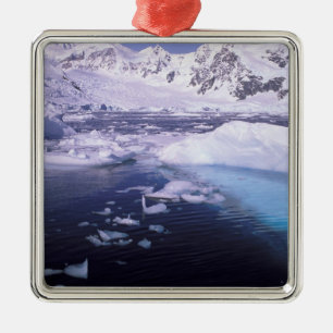 Antarctica. Expedition through icescapes Metal Tree Decoration
