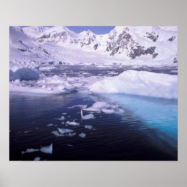 Antarctica. Expedition through icescapes Poster (Front)