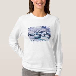 Antarctica, Ice flow. T-Shirt