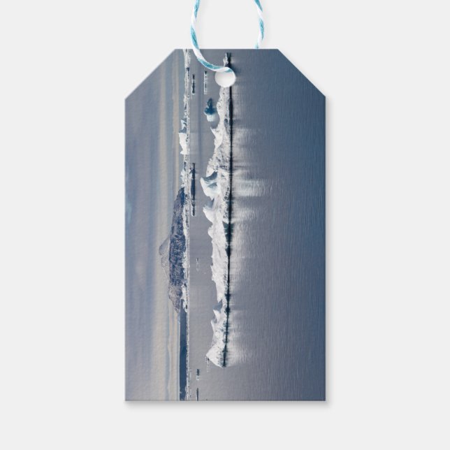 Antarctica landscape gift tags (Front)