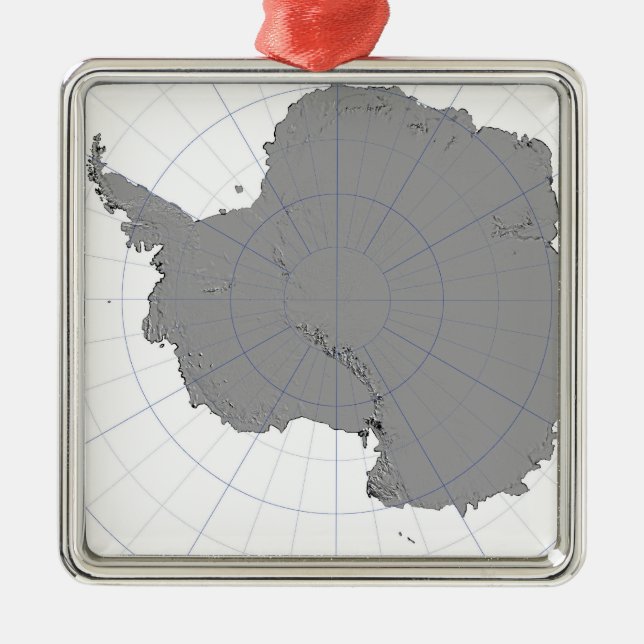 Antarctica Metal Tree Decoration (Front)