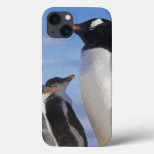 Antarctica, Neko Cove (Harbour). Gentoo penguin 2 iPhone 13 Case