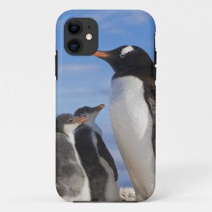 Antarctica, Neko Cove (Harbour). Gentoo penguin 2 Case-Mate iPhone Case