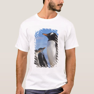 Antarctica, Neko Cove (Harbour). Gentoo penguin 2 T-Shirt