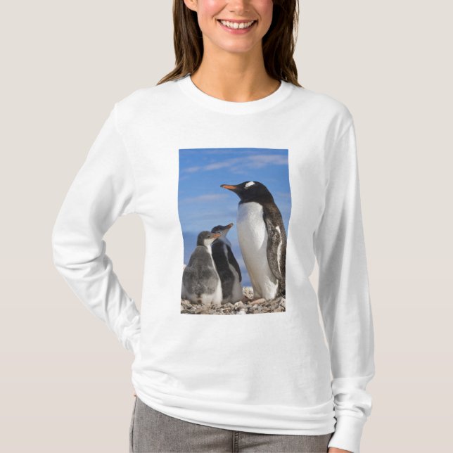 Antarctica, Neko Cove (Harbour). Gentoo penguin 2 T-Shirt (Front)