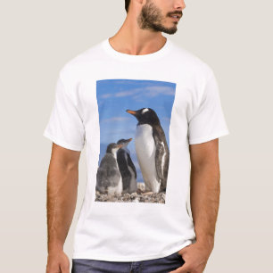 Antarctica, Neko Cove (Harbour). Gentoo penguin 2 T-Shirt