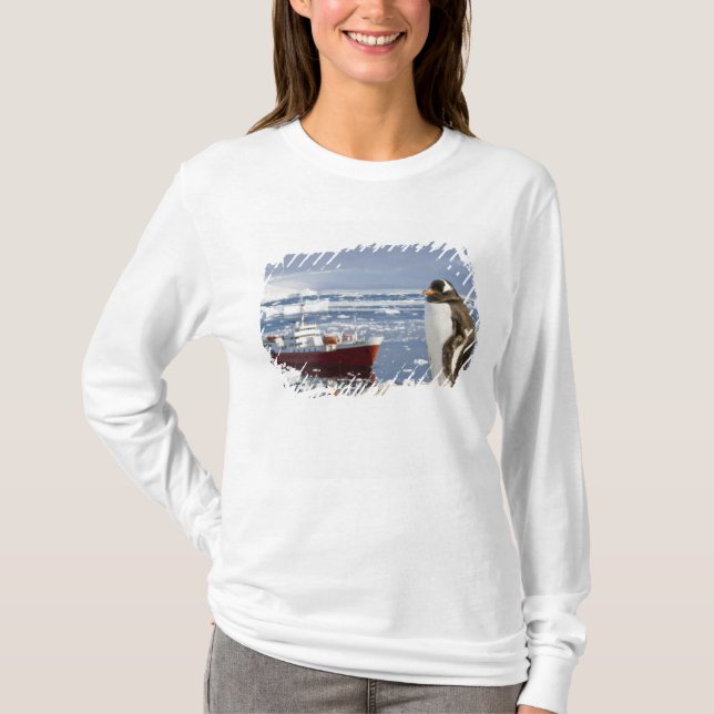 Antarctica, Neko Cove (Harbour). Gentoo penguin T-Shirt (Front)