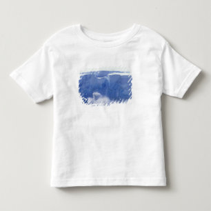 Antarctica, Paradise Bay, Massive wave forms Toddler T-Shirt