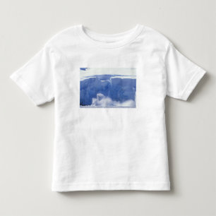 Antarctica, Paradise Bay, Massive wave forms Toddler T-Shirt