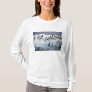 Antarctica, Paulet Island. Adelie penguins T-Shirt