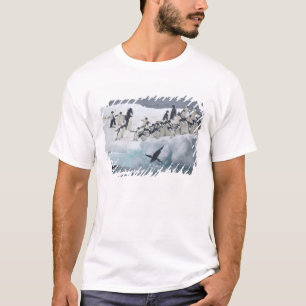 Antarctica, Paulet Island. Adelie penguins T-Shirt