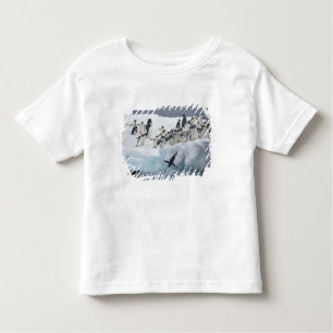 Antarctica, Paulet Island. Adelie penguins Toddler T-Shirt