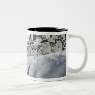 Antarctica, Paulet Island. Adelie penguins Two-Tone Coffee Mug