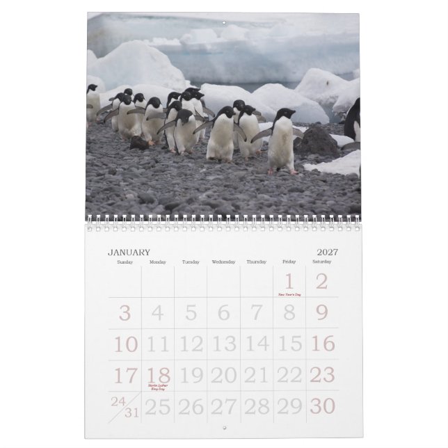 Antarctica Penguins Calendar (Jan 2027)