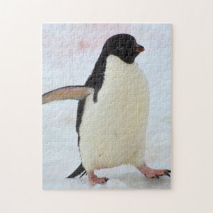 Antarctica. Petermann Island. Adelie penguin Jigsaw Puzzle