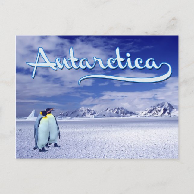 Antarctica Postcard (Front)