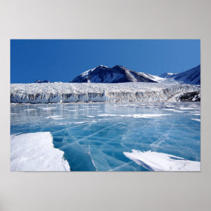 Antarctica Poster