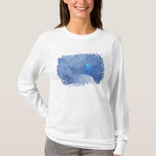 Antarctica, Ross Island, Cape Evans, Snow cave T-Shirt