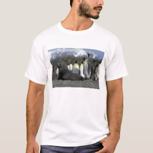 Antarctica, South Georgia Island. Antarctic fur T-Shirt