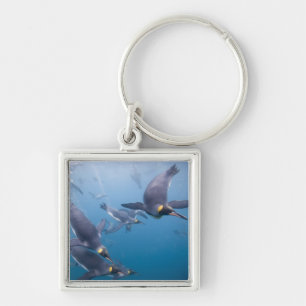 Antarctica, South Georgia Island (UK), 2 Key Ring