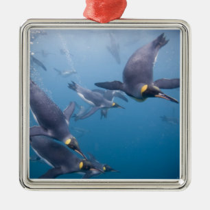 Antarctica, South Georgia Island (UK), 2 Metal Tree Decoration