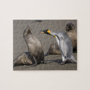 Antarctica, South Georgia Island (UK), King 3 Jigsaw Puzzle