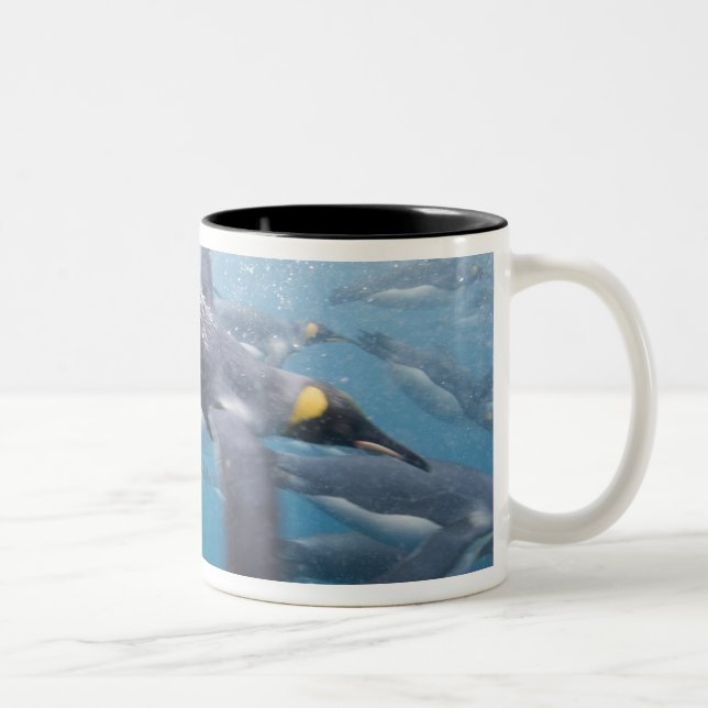Antarctica, South Georgia Island UK Two-Tone Coffee Mug (Right)