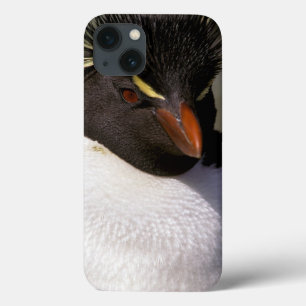Antarctica, Sub-Antarctic Islands, South 5 iPhone 13 Case