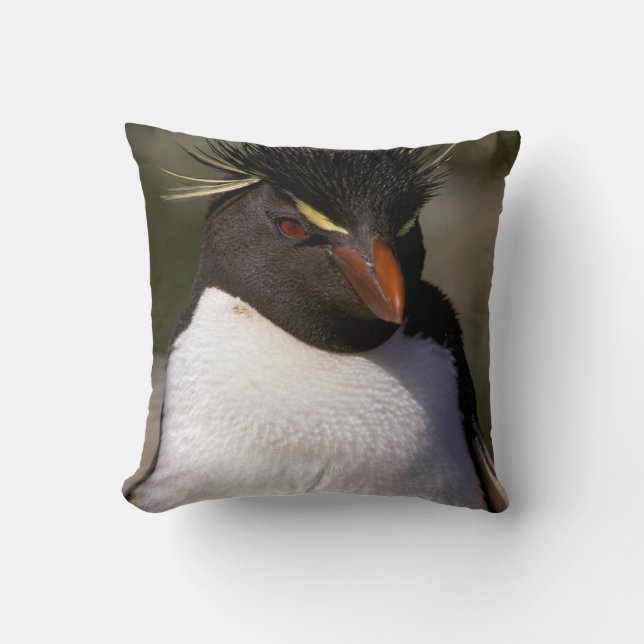 Antarctica, Sub-Antarctic Islands, South 5 Cushion (Front)