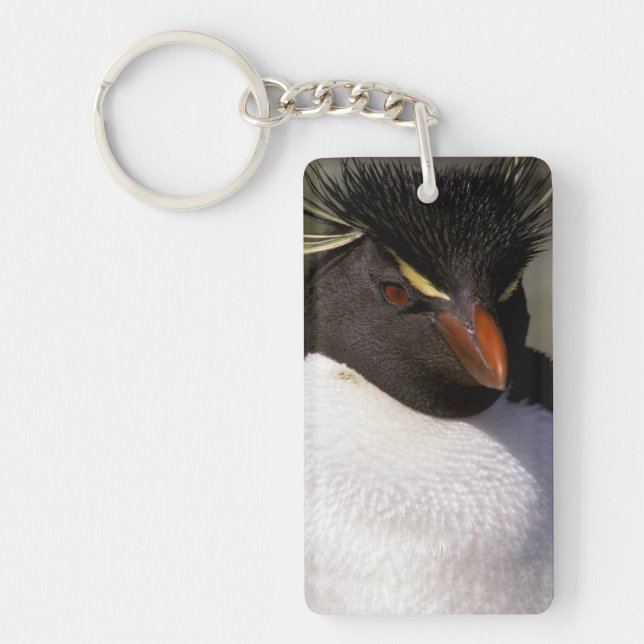 Antarctica, Sub-Antarctic Islands, South 5 Key Ring (Front)