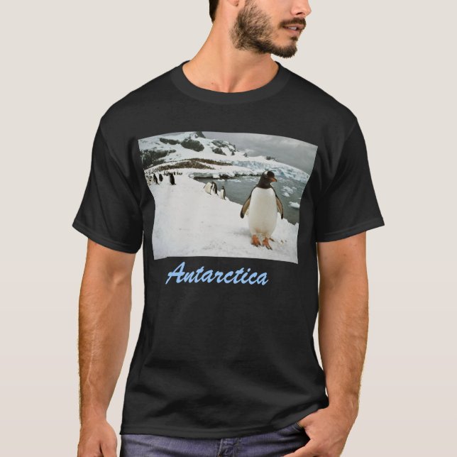 Antarctica T-shirt (Front)