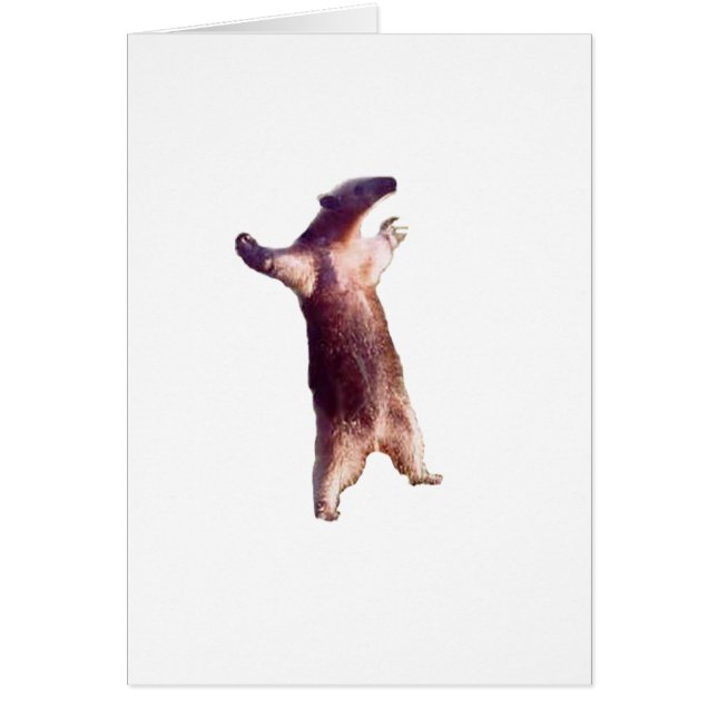 Anteater (Front)