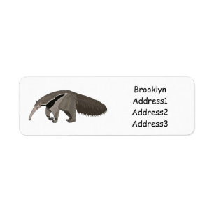 Anteater cartoon illustration
