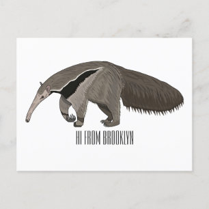 Anteater cartoon illustration  postcard