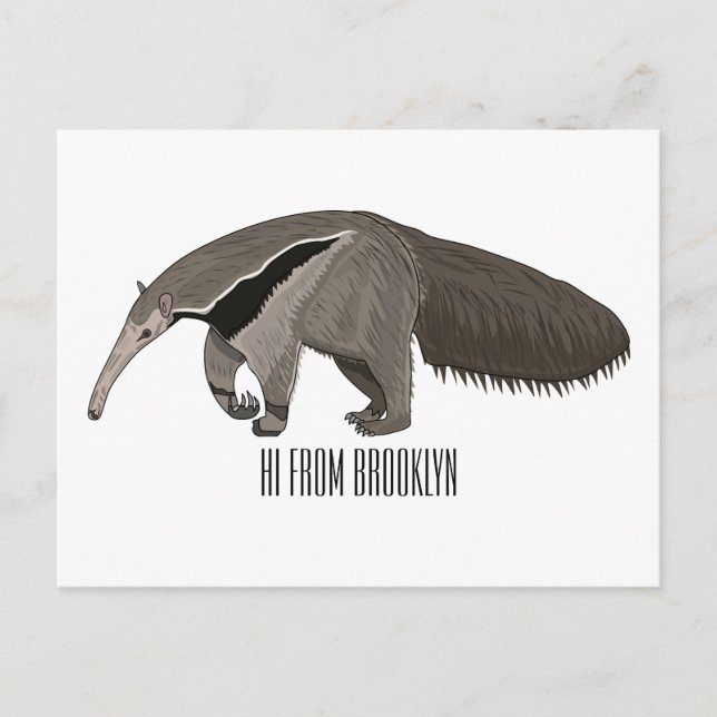 Anteater cartoon illustration  postcard (Front)