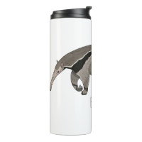 Anteater cartoon illustration 
