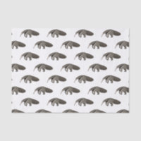 Anteater cartoon illustration 