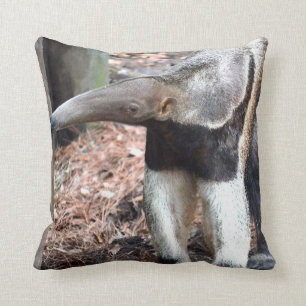anteater nose raised wild animal image picture cushion