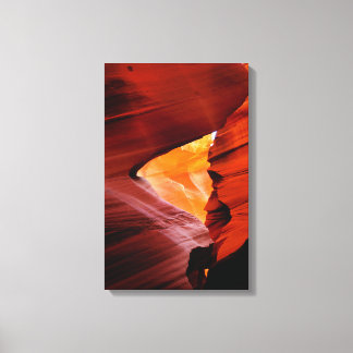 Antelope Canvas Print