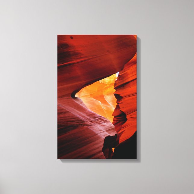 Antelope Canvas Print (Front)