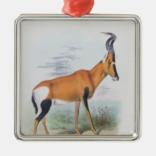 Antelope, from 'The Book of Antelopes', Metal Tree Decoration