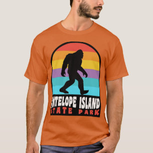 Antelope Island Camping Salt Lake City Utah T-Shirt