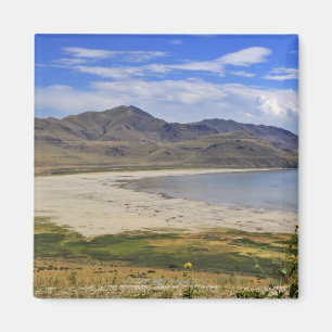 Antelope Island State Park, Great Salt Lake, Magnet