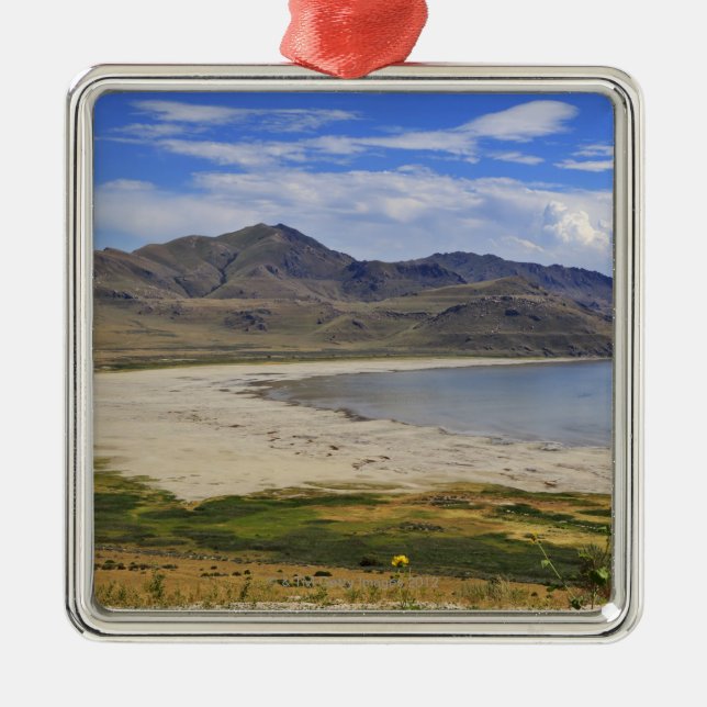 Antelope Island State Park, Great Salt Lake, Metal Tree Decoration (Front)