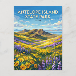 Antelope Island State Park Utah Postcard